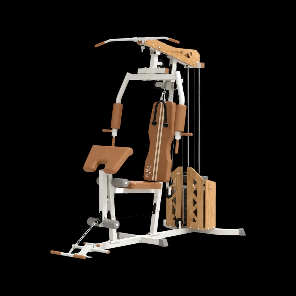Multigimnasio vintage