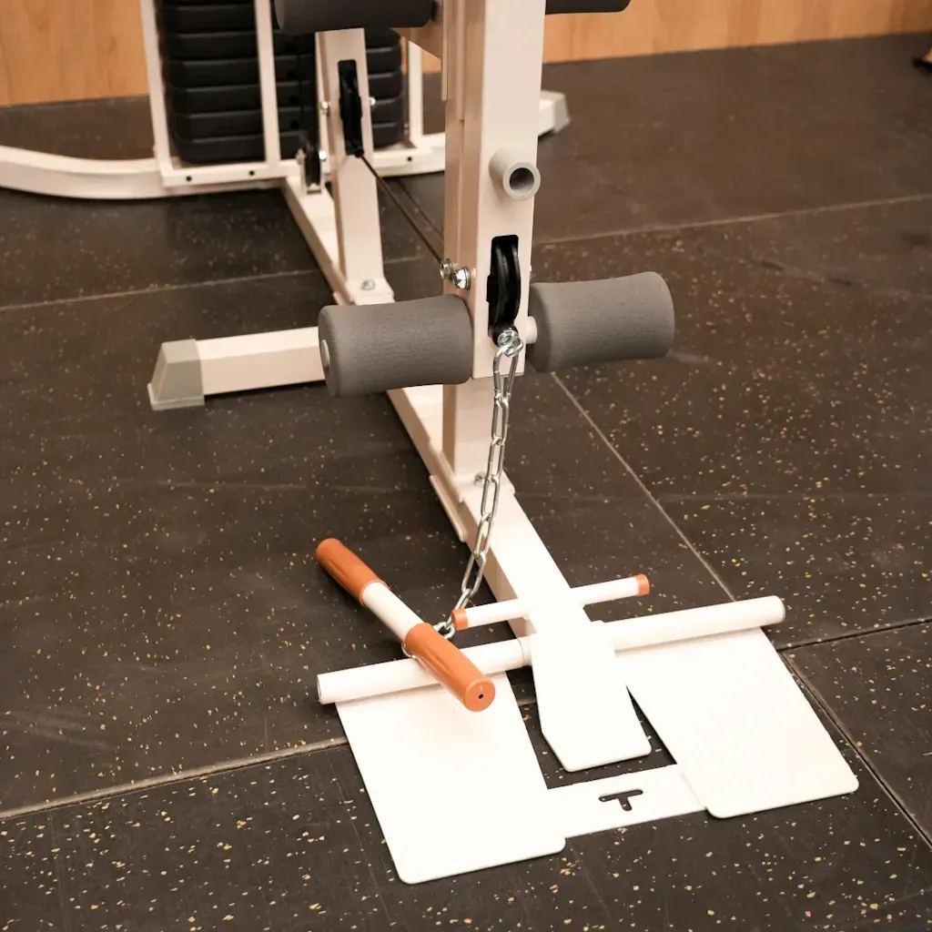 Multigimnasio vintage