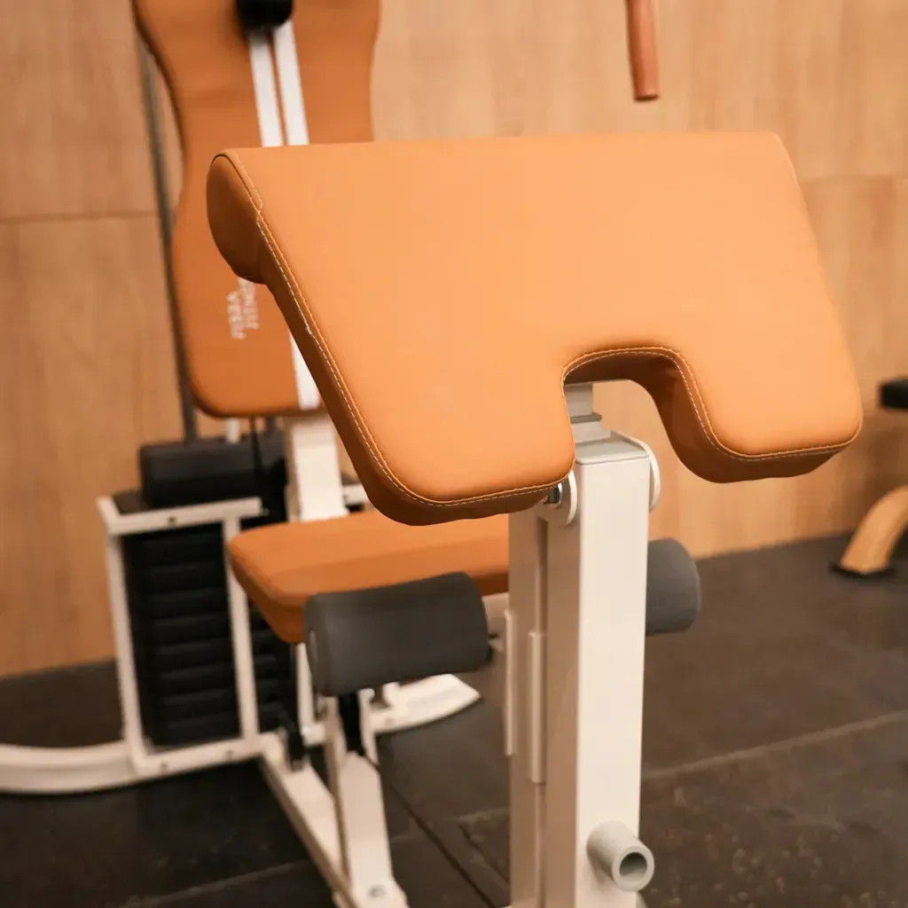Multigimnasio vintage