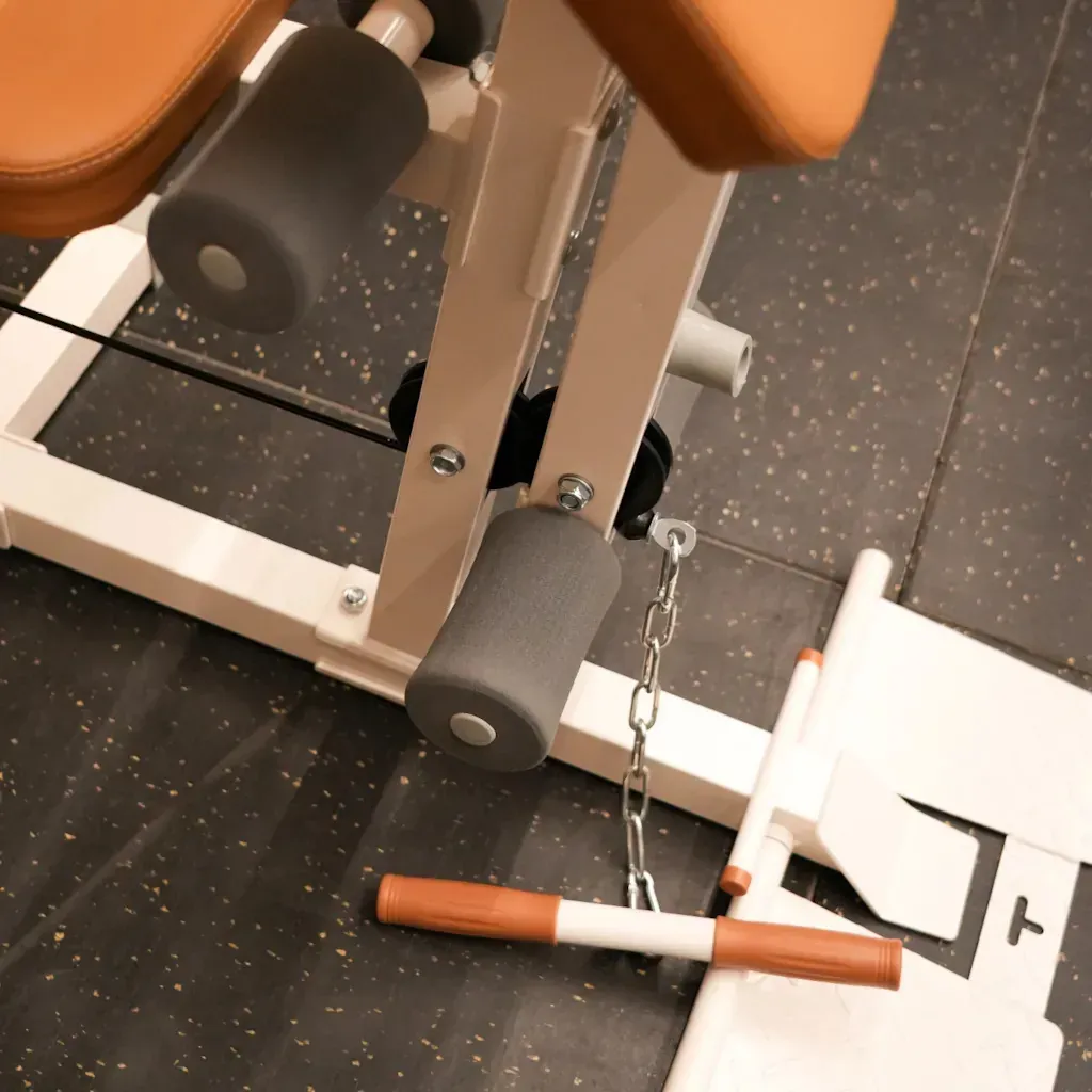 Multigimnasio vintage
